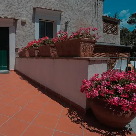Vittoria *